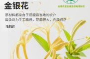 關(guān)于金銀花露水泄不通在線全文免費(fèi)閱讀筆趣閣的信息