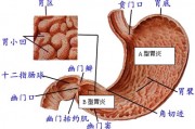 怎么確定是腸胃炎,急性腸胃炎的癥狀