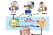 腸道功能紊亂的原因是什么？如何調理？