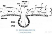 胃潰瘍喜歡“纏上”這3類人，是指哪三類人？