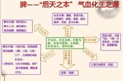 多夢但不失眠怎么調理,多夢但不失眠怎么調理最好的治療方法