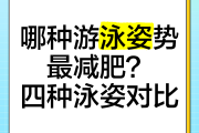 游泳減肥減肥游泳減肥的效果