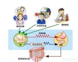 腸道功能紊亂的原因是什么<strong>腸道</strong>？如何調(diào)理？