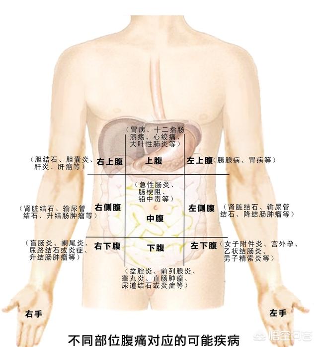 胃痛和腹痛的區(qū)別是什么<strong>胃脘痛</strong>？