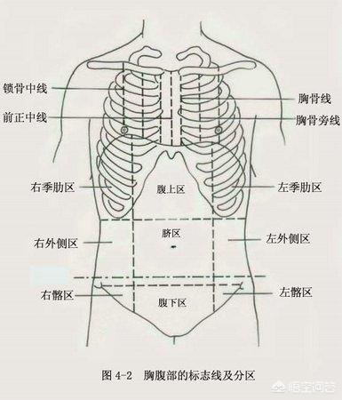 胃痛和腹痛的區(qū)別是什么<strong>胃脘痛</strong>？