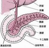 如果有十二指腸潰瘍<strong>十二指腸</strong>，做了膽囊摘除術，不斷流入的膽汁會不會加重病情？