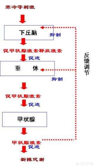 有知道什么好的瘦身方法嗎<strong>減肥方法</strong>？