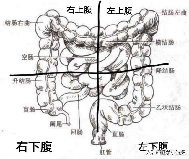 結腸炎該吃什么調理才好<strong>腸道</strong>？