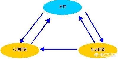 腸易激綜合癥是什么<strong>腸病</strong>？