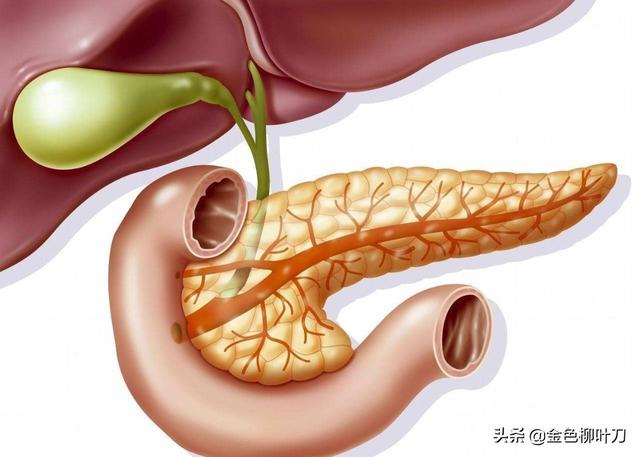 胰腺癌一般哪里會(huì)出現(xiàn)疼痛<strong>十二指腸</strong>？