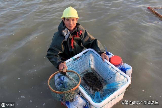 養殖魚蝦<strong>腸胃炎</strong>，遇到魚蝦腸炎怎么辦？有好的治療方法和技巧嗎？