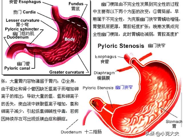 糜爛性胃炎十二指腸炎吃什么藥最好<strong>十二指腸</strong>？