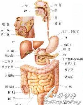 腸道病毒感染的流行情況