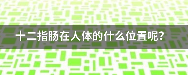 十二指腸在人體的什么位置呢<strong></p>
<p>十二指腸</strong>？