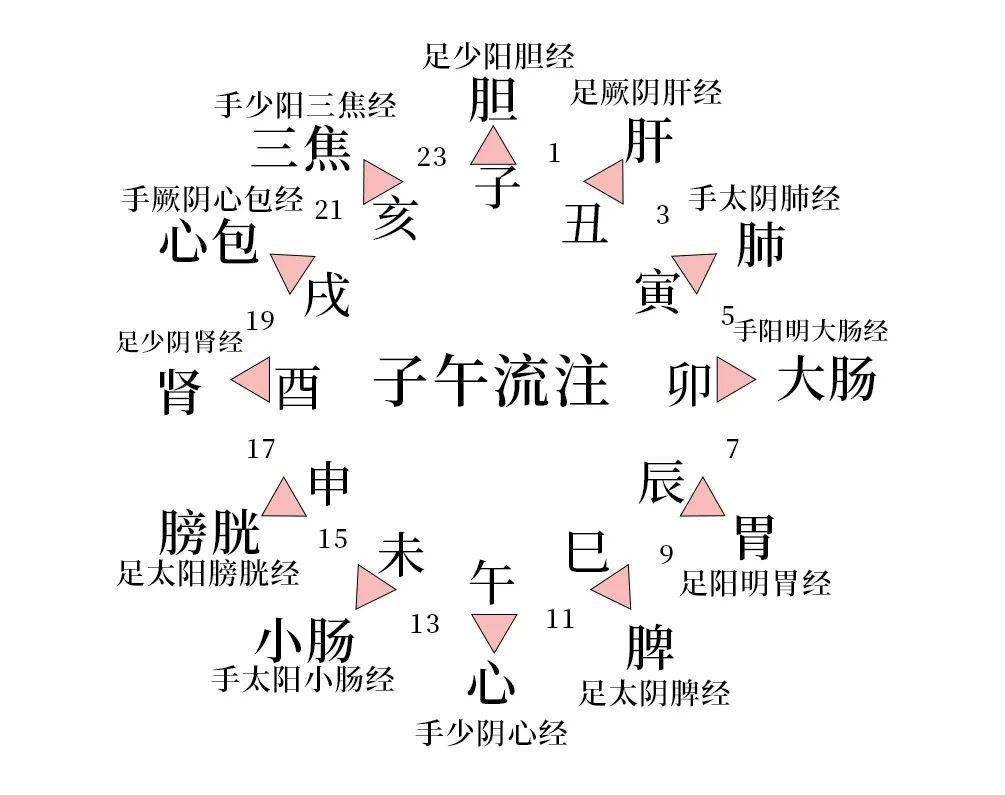 十二經絡養生歌訣,十二經絡養生