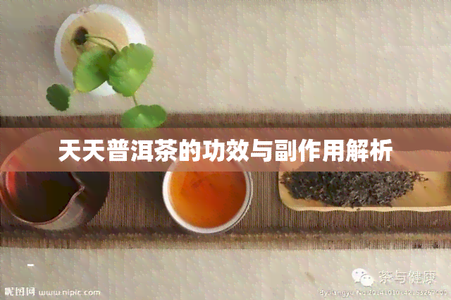 普洱茶的副作用壞處,普洱茶的副作用