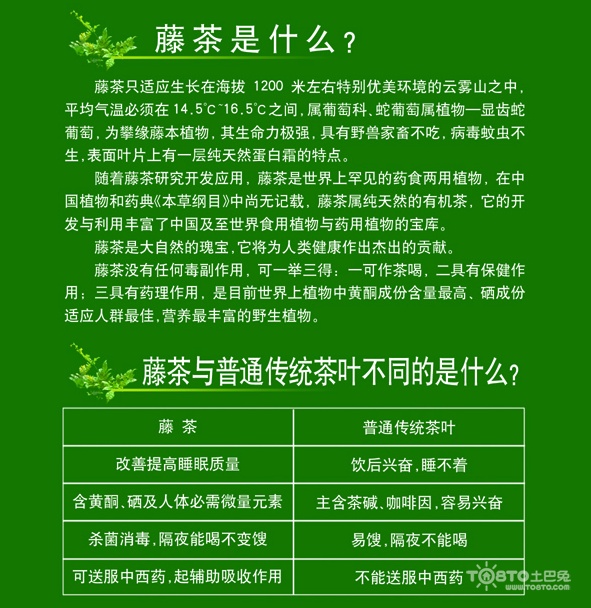 莓茶的作用和功效,莓茶的功效與作用長期喝的危害