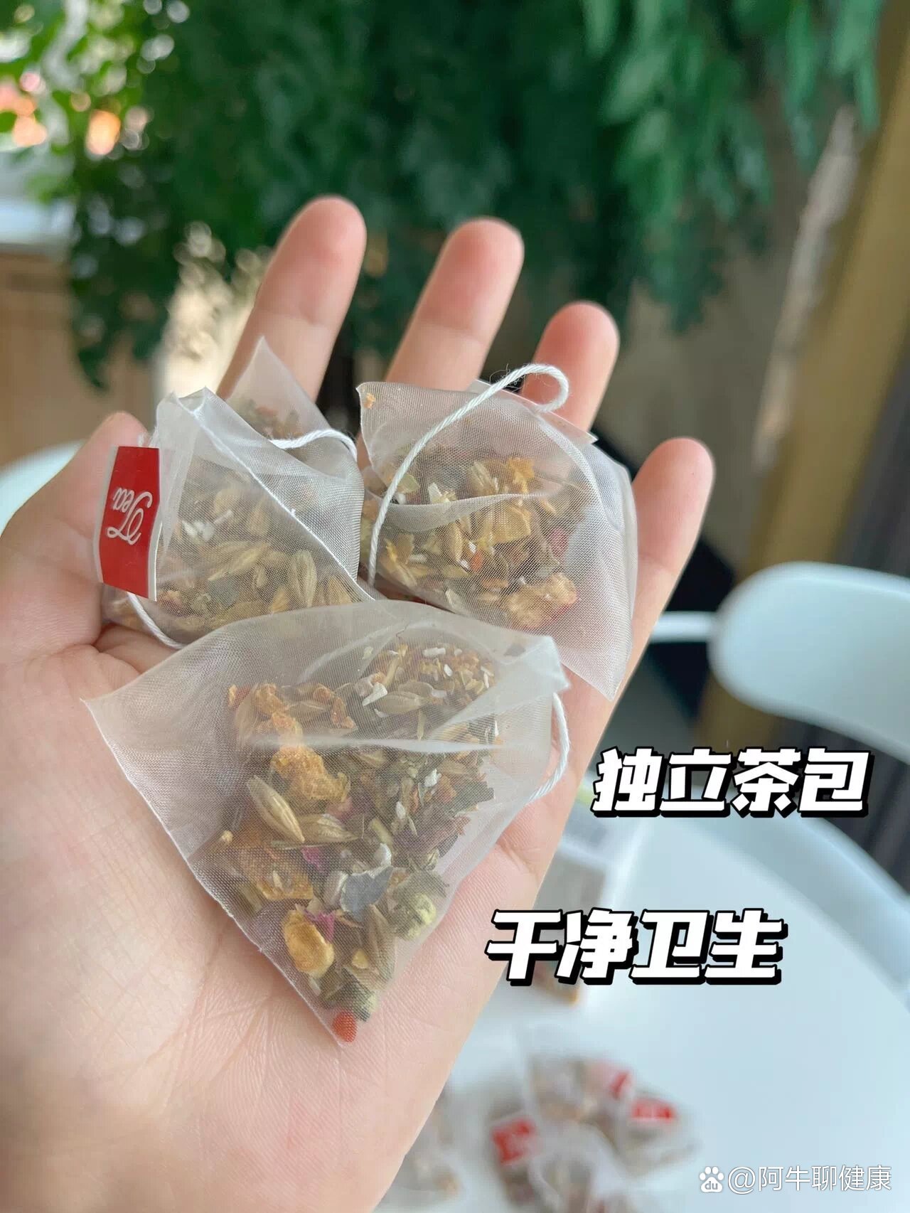 大肚子茶多少錢,大肚子茶效果怎么樣