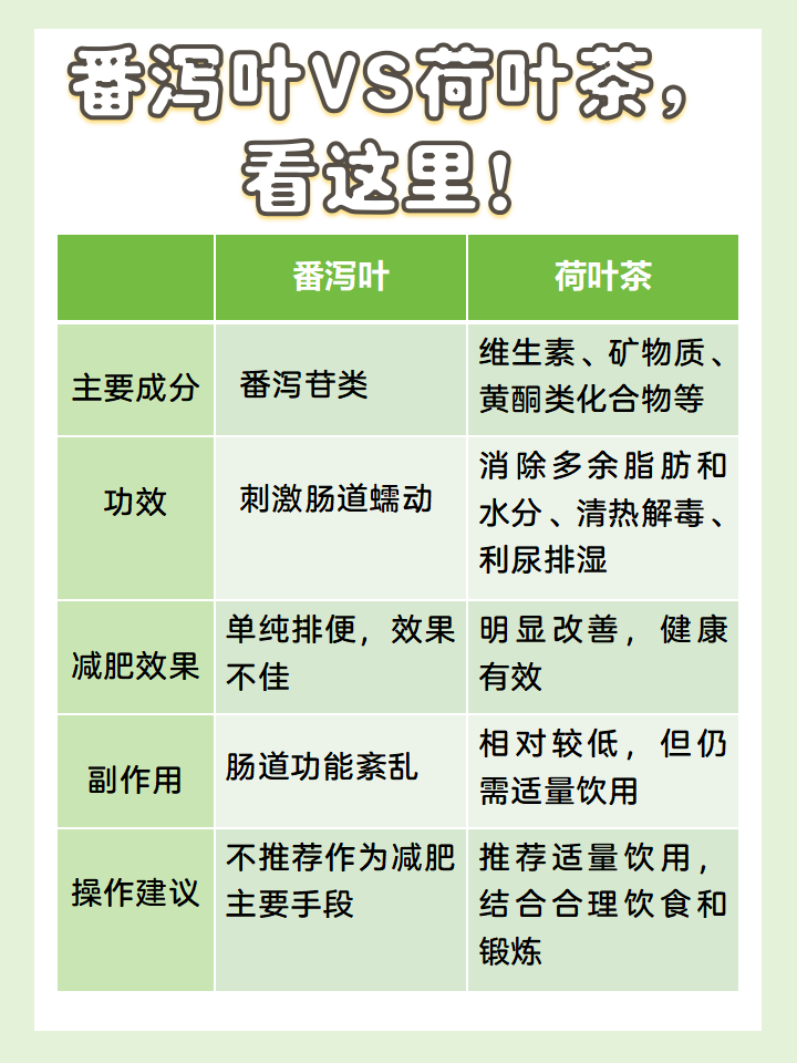 荷葉茶減肥效果好還是決明子減肥效果好,荷葉茶減肥效果