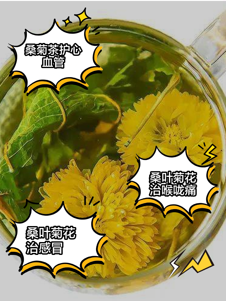 菊花茶的功效與作用作文怎么寫菊花茶的功效與作用作文