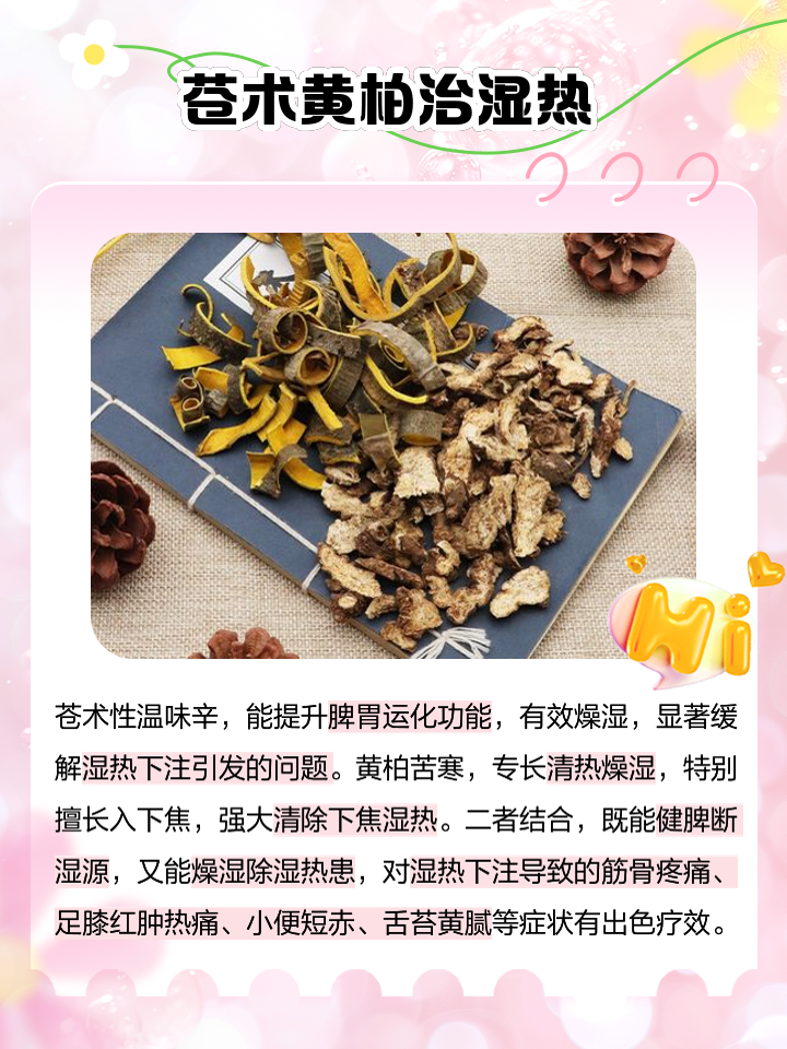 蒼術(shù)的功效與作用,蒼術(shù)的功效與作用圖片