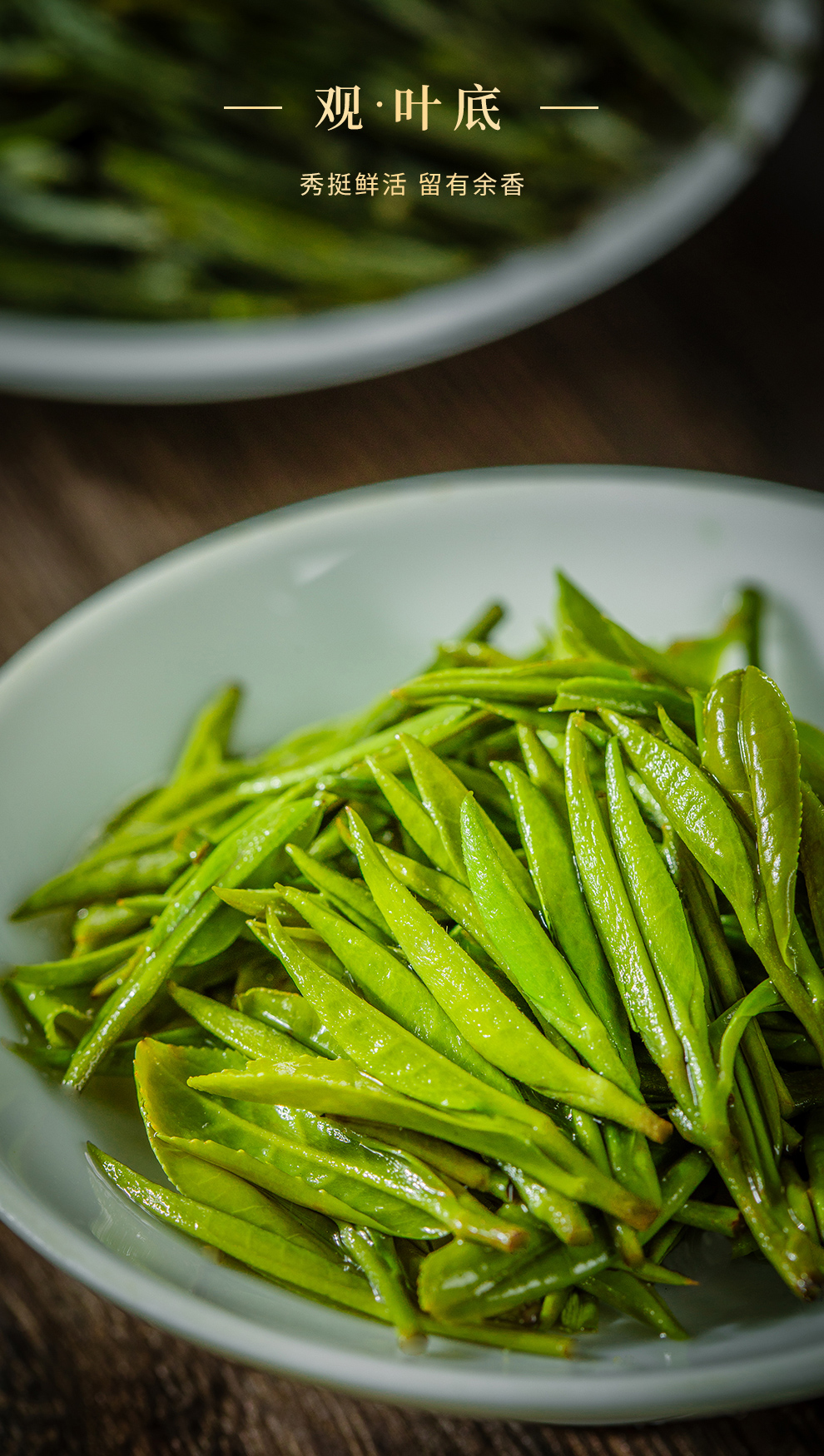 黃山毛峰是什么茶,黃山毛峰是什么茶什么價位