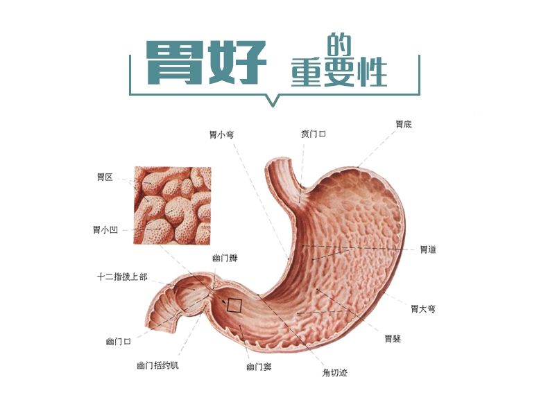 慢性胃腸炎的早期癥狀慢性腸胃炎