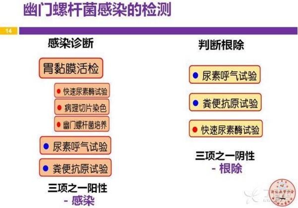 包含幽門螺旋桿菌陽性50有必要治療嗎的詞條