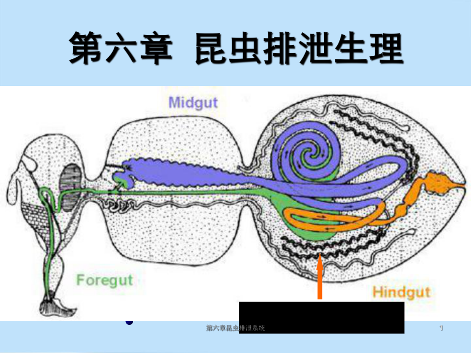 排泄株式會社,排泄