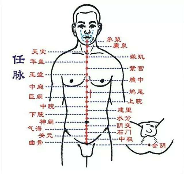 什么是鬼門十三針呢,鬼門十三針的圖解鬼門十三針的部位圖