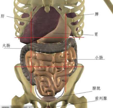 左上腹疼痛做什么檢查更準(zhǔn)確左上腹疼痛